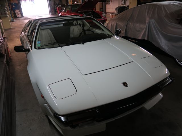 1985 LAMBORGHINI JALPA P 350