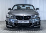 2016 BMW SERIE 2 CABRIOLET F23 PACK M 218I BVM6