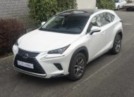 2019 LEXUS NX 300H LUXE 4WD AUTO