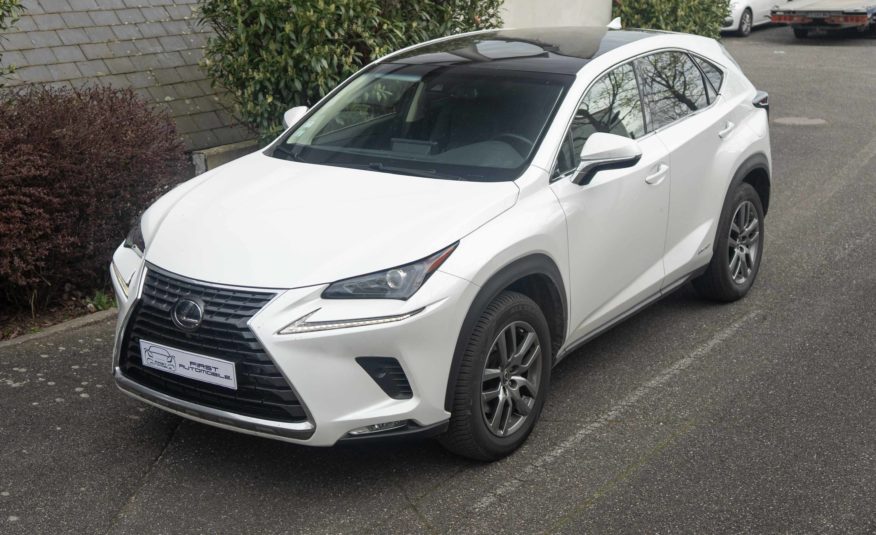 2019 LEXUS NX 300H LUXE 4WD AUTO