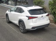 2019 LEXUS NX 300H LUXE 4WD AUTO