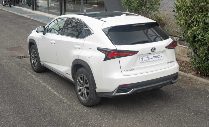 2019 LEXUS NX 300H LUXE 4WD AUTO