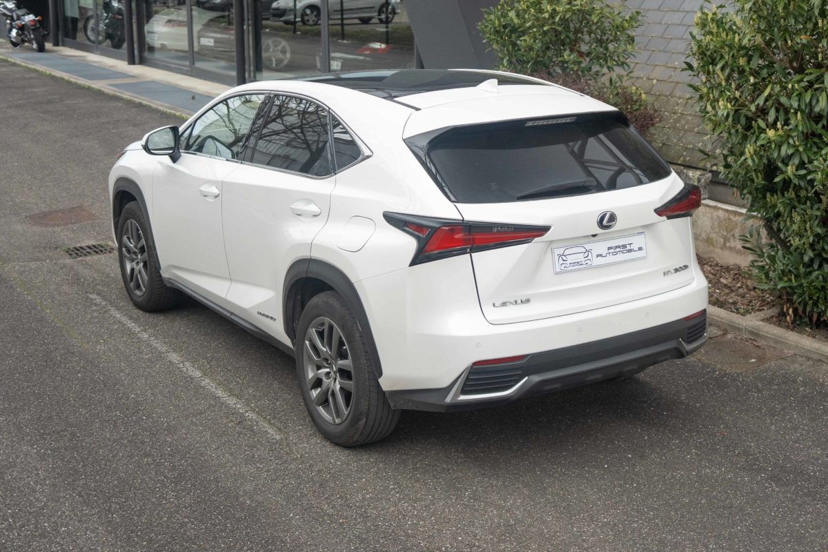 2019 LEXUS NX 300H LUXE 4WD AUTO