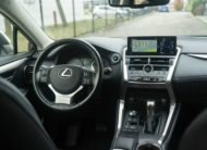 2019 LEXUS NX 300H LUXE 4WD AUTO