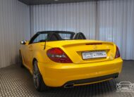 2010 MERCEDES BENZ SLK 300 3.0L 231CV V6 BVA7